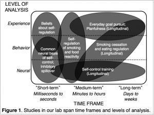Studies in our lab span time frames and levels of analysis.
