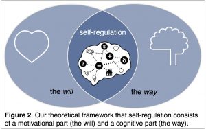 Our theoretical framework that self-regulation consists of a motivational part (the will) and a cognitive part (the way).