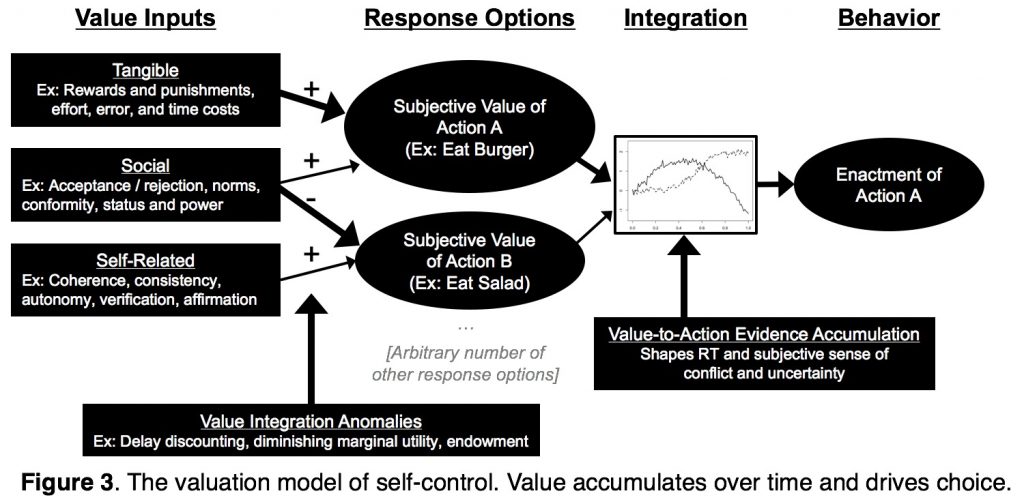 The valuation model of self-control. Value accumulates over time and drives choice.